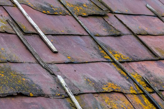 rusted sheet metal roof with wooden planks, mold and dirt - closeup with selective focus and diagonal composition.