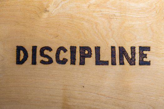 the word discipline burnt by hand with woodburner on white flat wooden surface - directly above normal view
