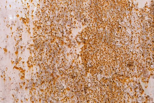 abstract background and texture of white peeling paint surface with orange rust spots.