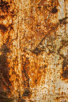 rusted flat solid sheet metal background and texture with leftovers of white paint, vertical crop
