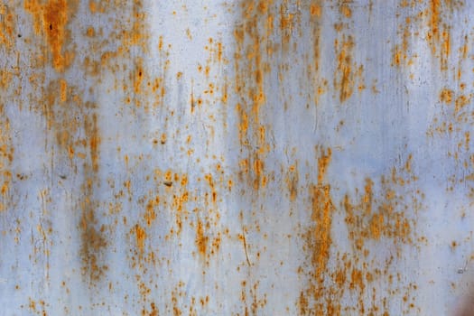 rusted flat solid sheet metal background and texture with leftovers of white and light blue paint.