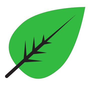 leaf icon on white background. green leaf sign. flat style. leaf icon icon for your web site design, logo, app, UI. leaf logo symbol.