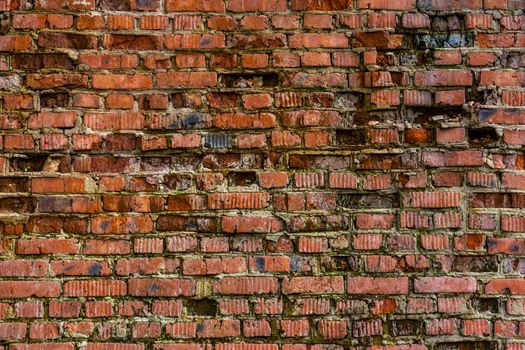 heavily weathered brick wall texture and background with deep water erosion and even some grass sprouts