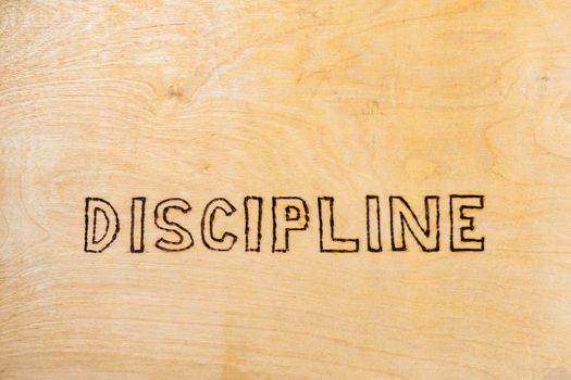 word discipline handwritten with woodburner on white flat wooden surface - directly above normal view