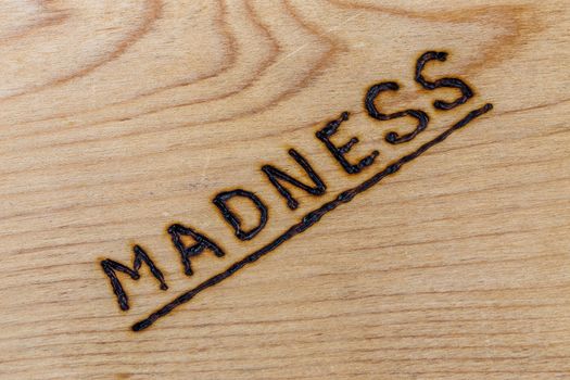 the word madness handwritten with woodburner on flat plywood surface in flat lay directly above view with diagonal composition.