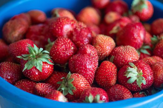 A bucket of ripe delicious strawberries