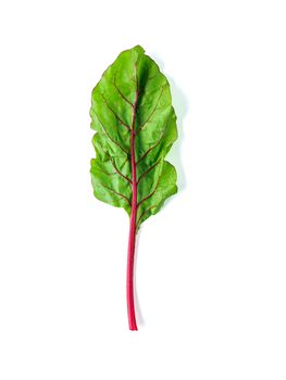 One swiss chard leaf isolated on white background. Fresh swiss rainbow chard with yellow and green colors, top view or flat lay