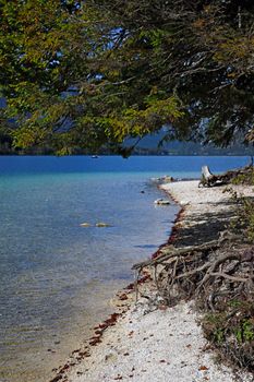 Shore of a mountain lake with turquoise water