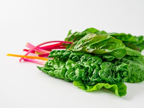 Bunch of swiss chard leafves isolated on white background. Fresh swiss rainbow chard with yellow, red and green colors, side view