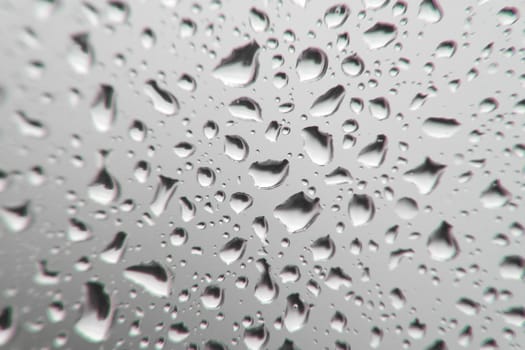 Drops of rain on the window, shallow dof