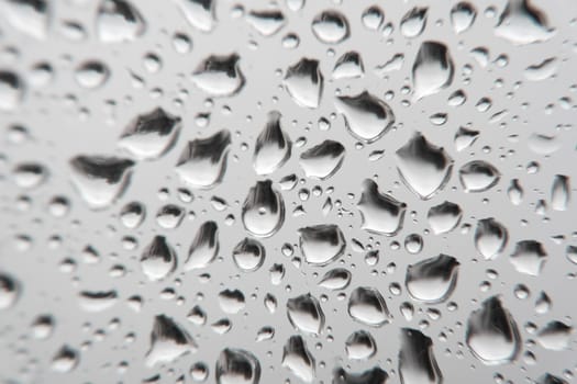 Drops of rain on the window, shallow dof