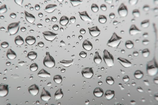 Drops of rain on the window, shallow dof