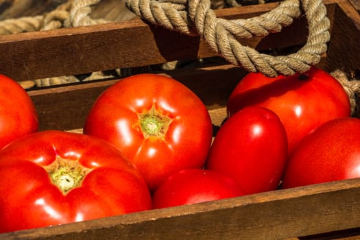 Wooden crate with fresh ripe tomatoes isolated in a rustic composition,