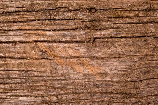 Old natural wood background.