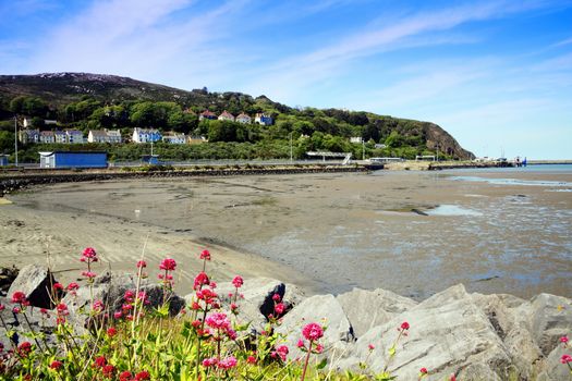Fishguard Bay, Pembrokeshire Wales UK a popular Welsh beach coastline which is a popular travel destination resort landmark stock photo