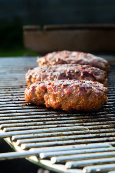 Grilled meat on a summer barbecue in the garden