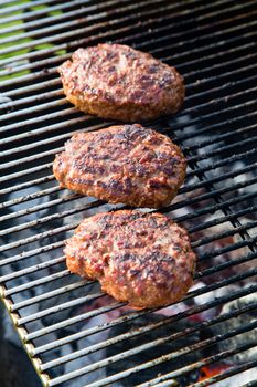 Grilled meat on a summer barbecue in the garden