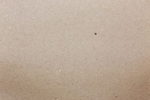 clean flat cardboard surface texture and background made of recycled paper materials.