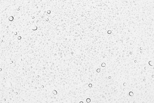 Water drops , Rain drops on glass background