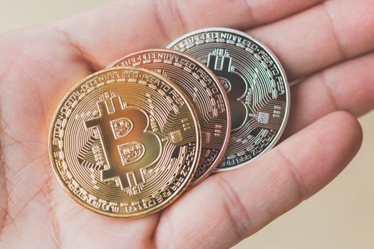 Bitcoin Cryptocurrency Digital Bit Coin BTC Currency Technology Business Internet Concept.