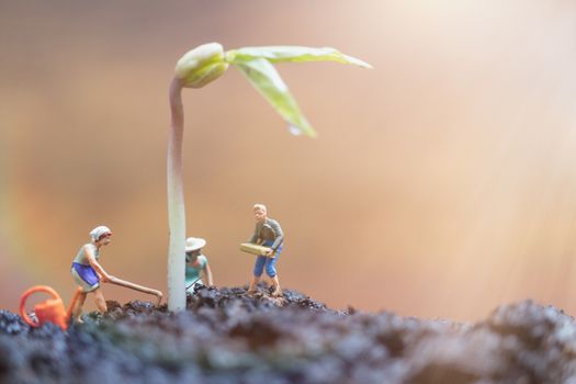 Miniature people , Gardeners take care growing sprout in field , Environment concept