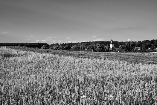 A rural landscape with arable fields, a bell tower and a forest in summer in Poland, black and white