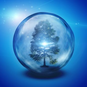 Green tree contained in glass ball