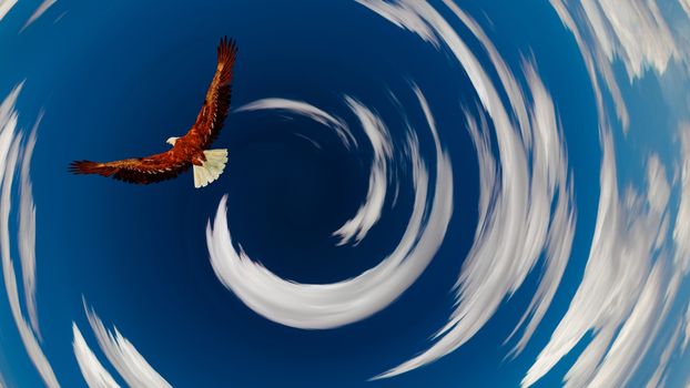 Eagle flies in tunnel of clouds.