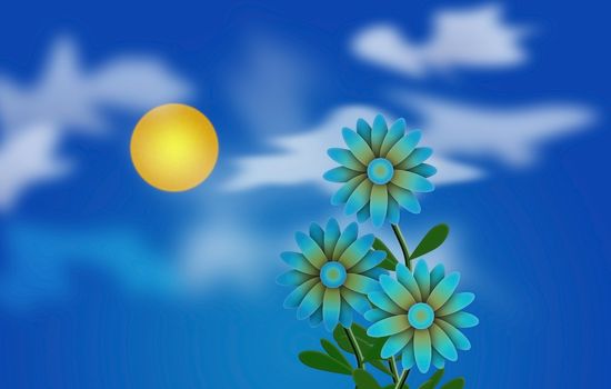 Daisies and Sun. Clouds in blue sky