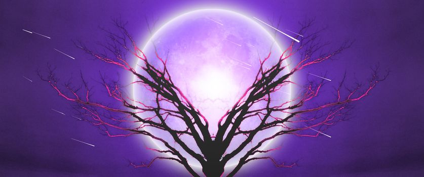 Mystic tree of life in moonlight.