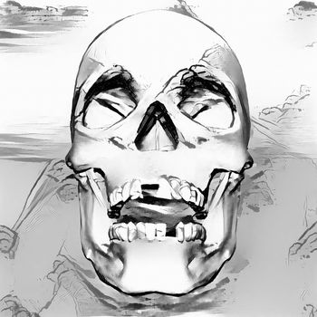 Human skull in black and white
