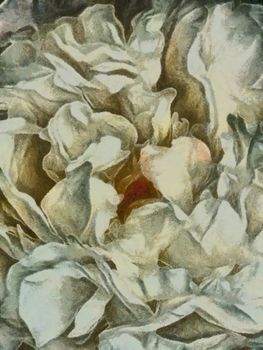Pattern of white flower pettals. Oil painting