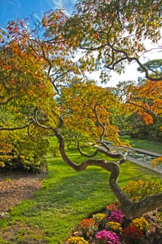 Autumn park. Vivid colors of nature. Trees and flowers