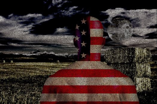 Man in US national colors stands in the field. Image composed entirely of words