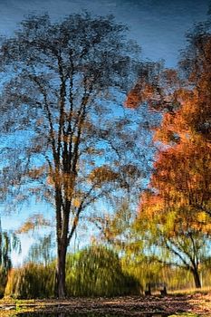 Beautiful autumn trees. Abstract water pattern