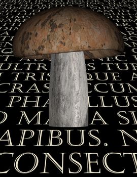 Mushroom with Latin text background