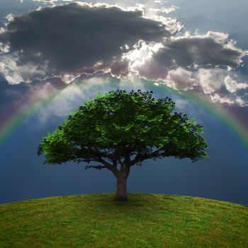 Green Tree. Dramatic clouds and rainbow. 3D rendering.