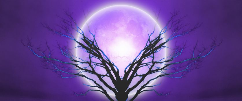 Mystic tree in moonlight.