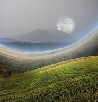 Peaceful Landscape with Mountain. Horse grazes at the field