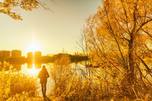 Autumn fall colors, yellow tree leaves girl walking in city park. Nature outdoor lifestyle.