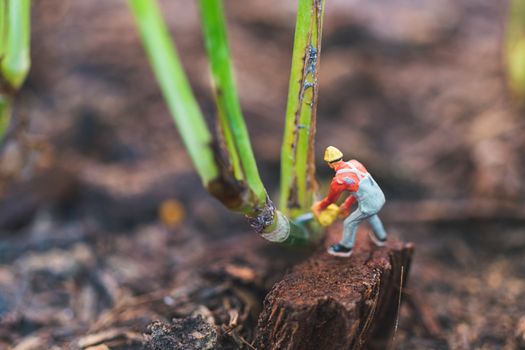 Miniature people : worker team working with tree , protect nature concept