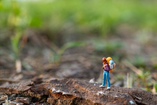 Miniature people : Traveler miniature with backpack stand and walking on meadow, Travel and Adventure concepts.
