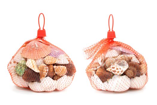 Sea shell in red net on white background 