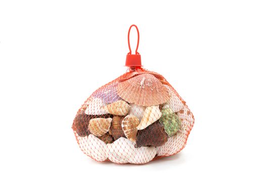 Sea shell in red net on white background