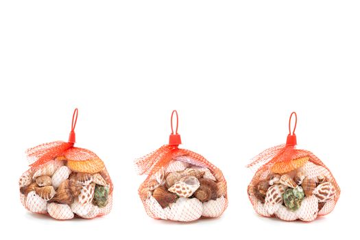 Sea shell in red net on white background 