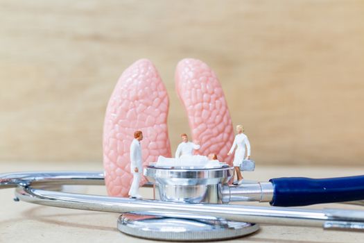 Miniature people doctor and nurse "team specialists" observing and discussing about human lungs , Virus and bacteria infected Concept