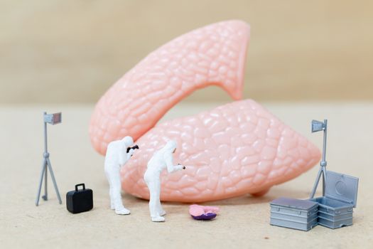 Miniature people , Scientist observing and discussing about human lungs , Virus and bacteria infected Concept