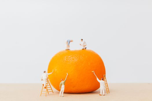 Miniature people: Workers are painting color on orange peels , Creative concept.