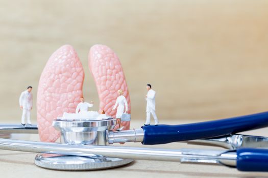 Miniature people doctor and nurse "team specialists" observing and discussing about human lungs , Virus and bacteria infected Concept