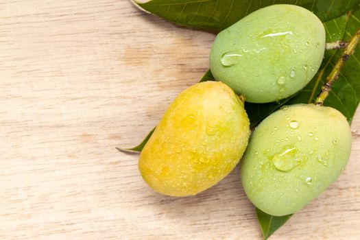 Close up Wild mango on wooden background